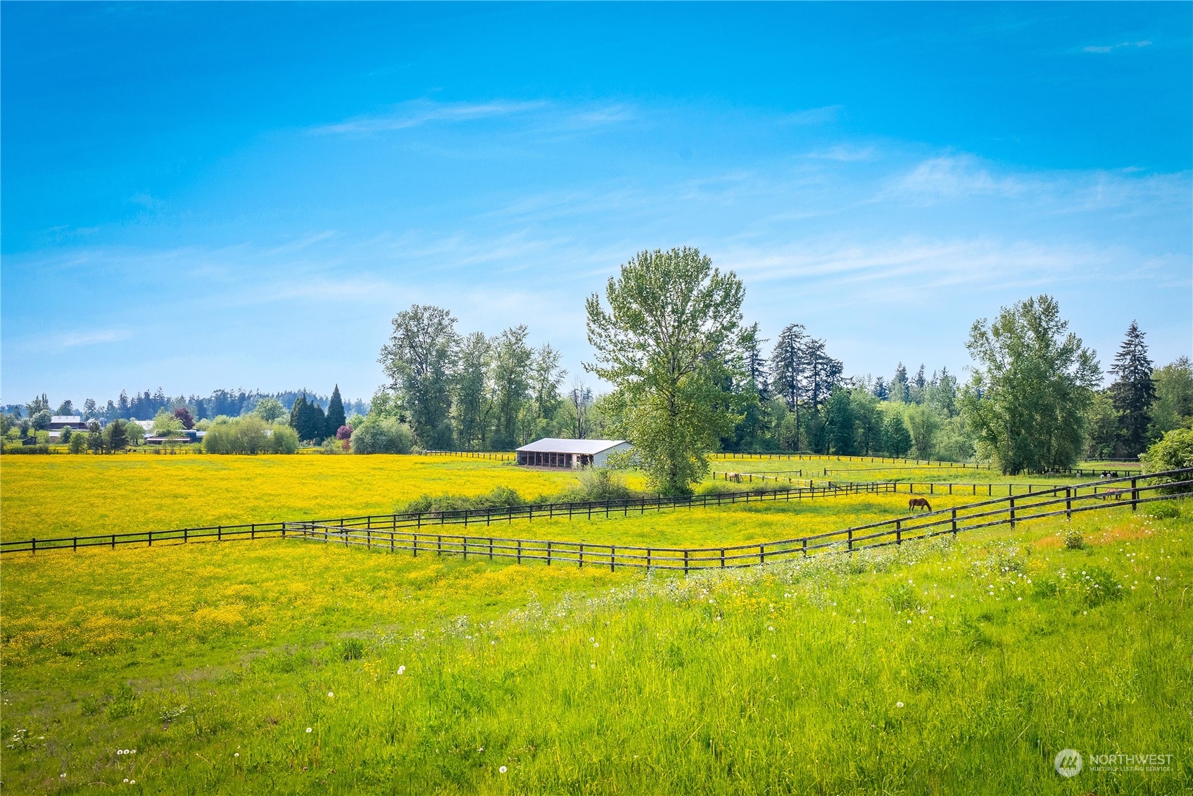 20722 SE 400th Street