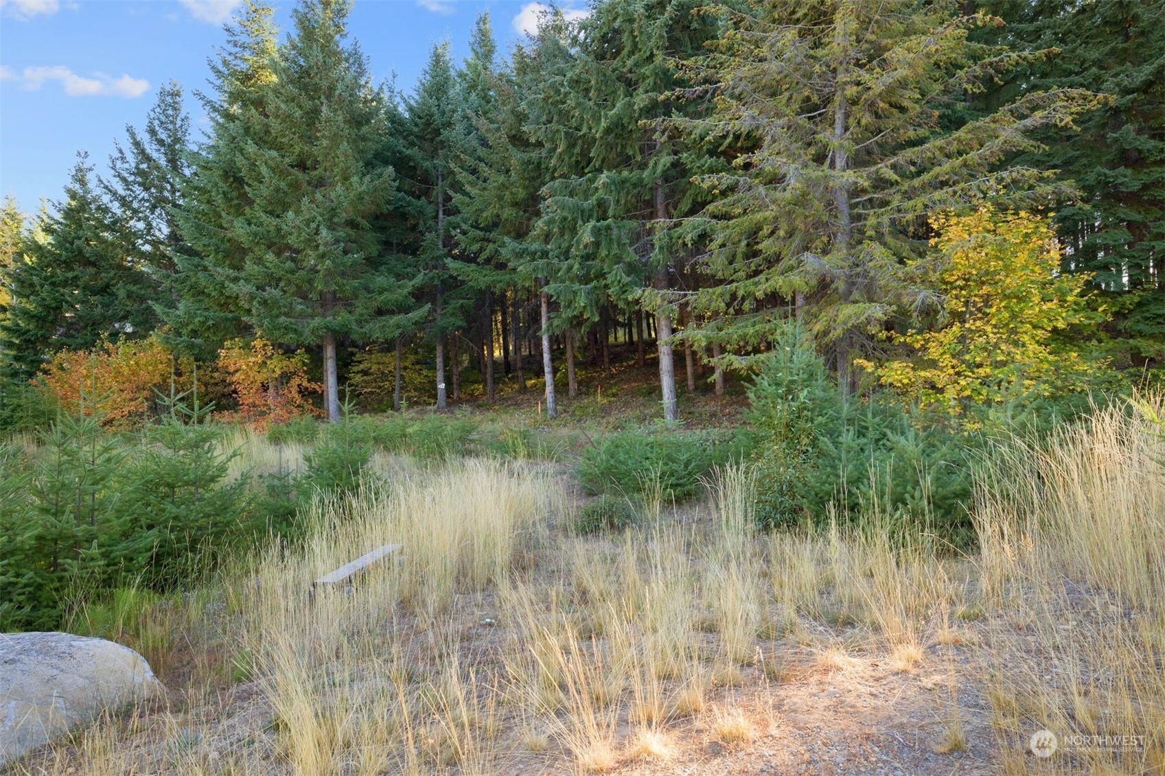 211 Gold Fountain Lane