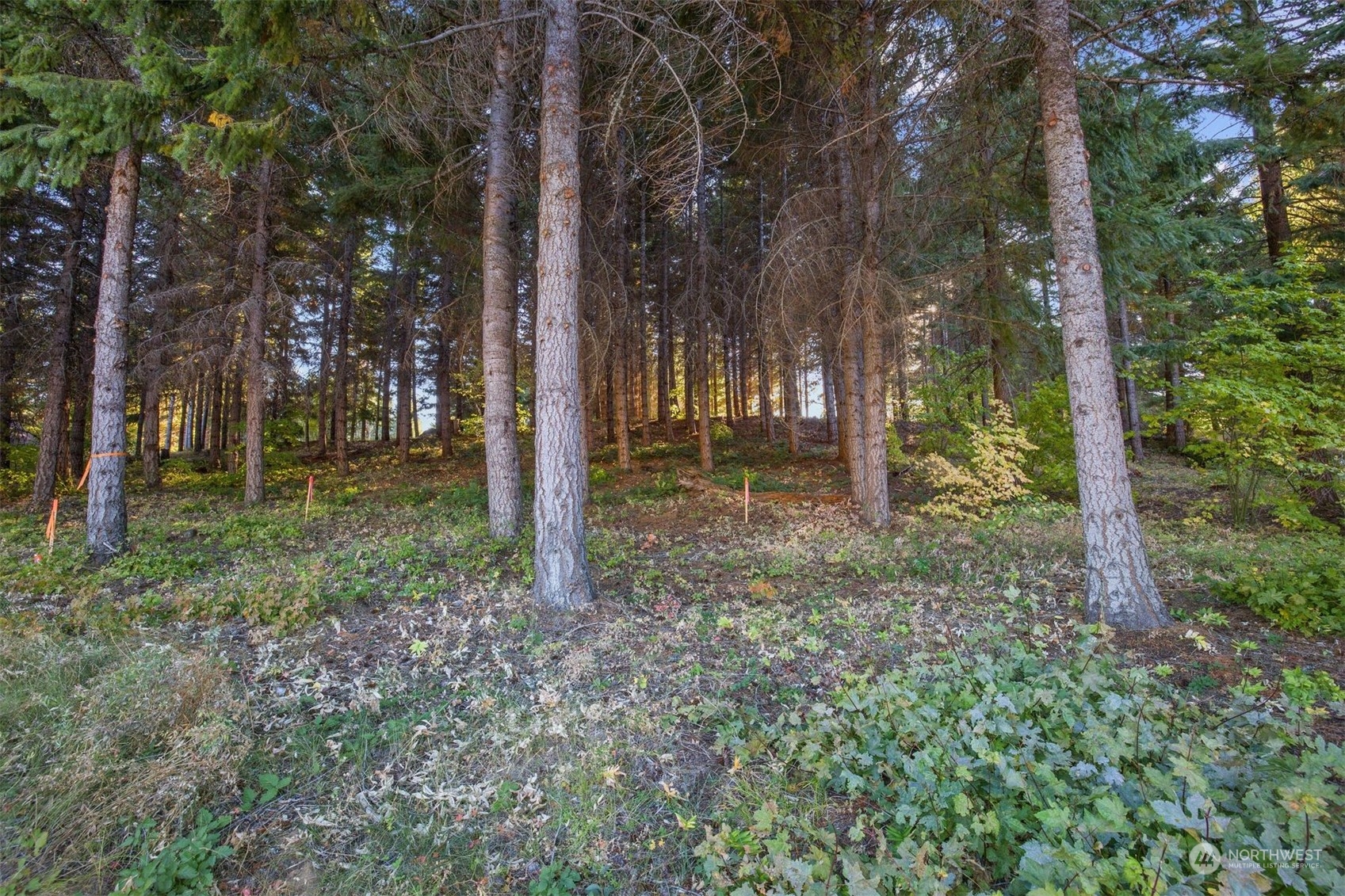 211 Gold Fountain Lane