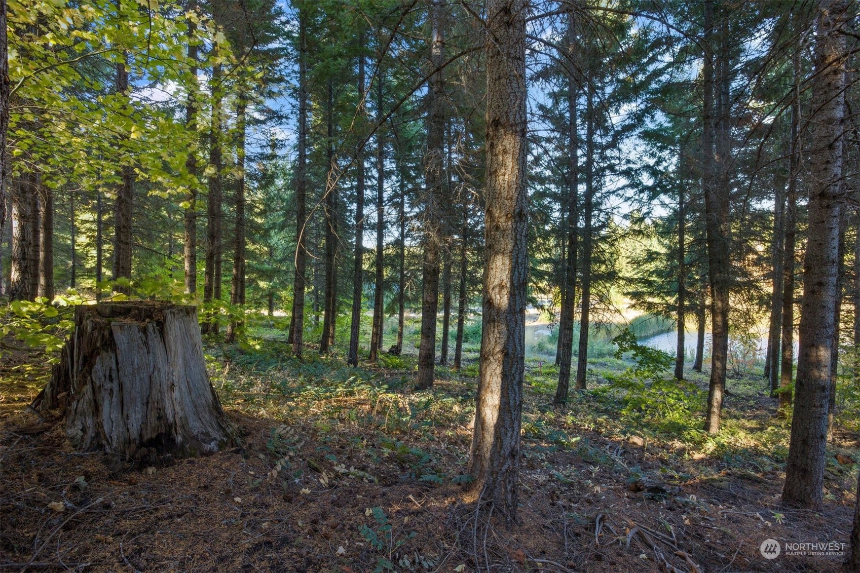 211 Gold Fountain Lane