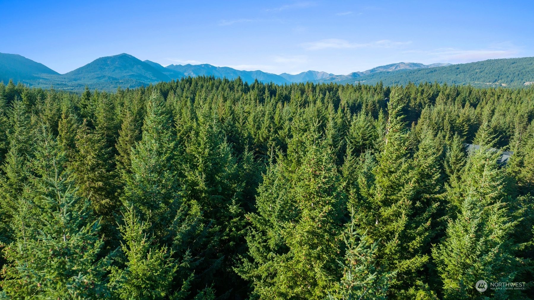 211 Gold Fountain Lane