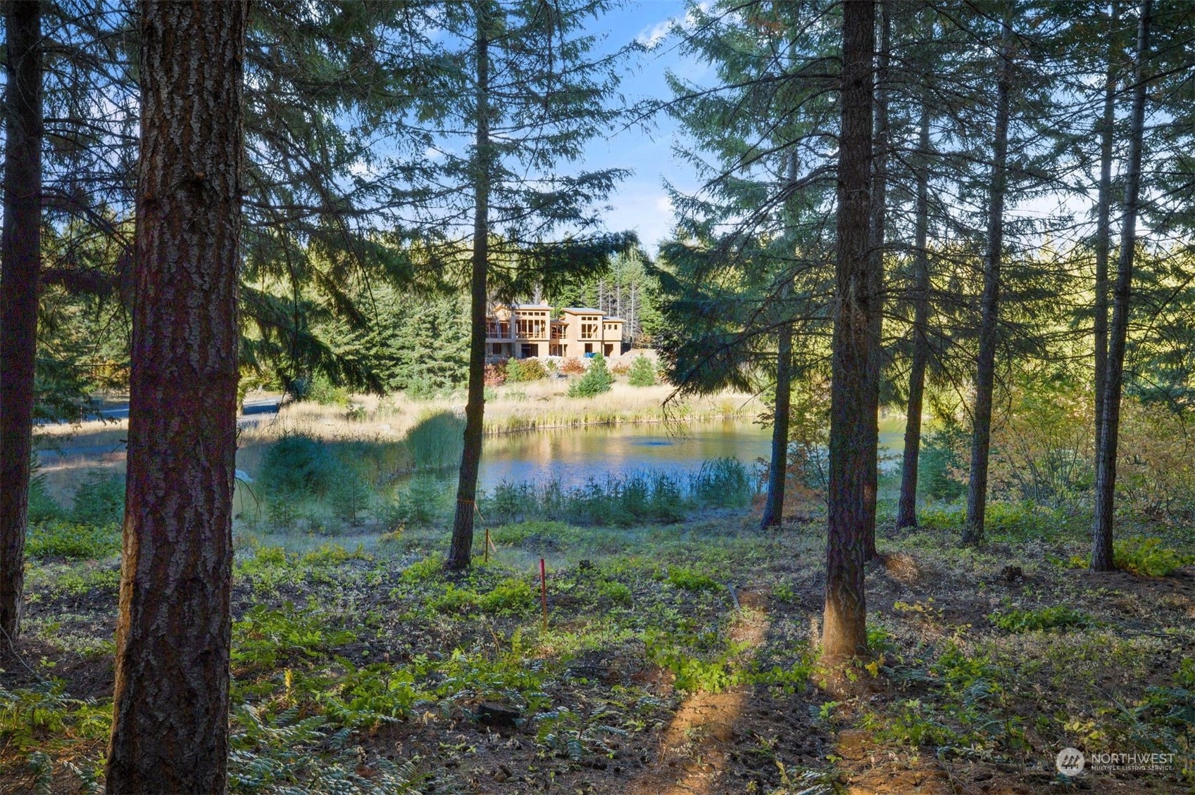 211 Gold Fountain Lane