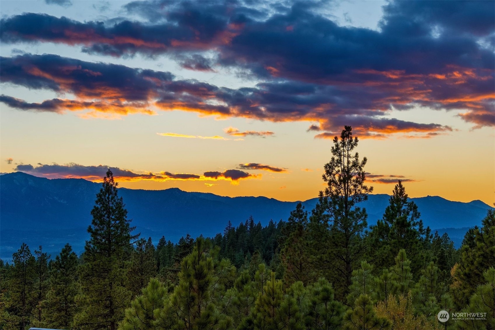 1610 Forest Ridge Drive