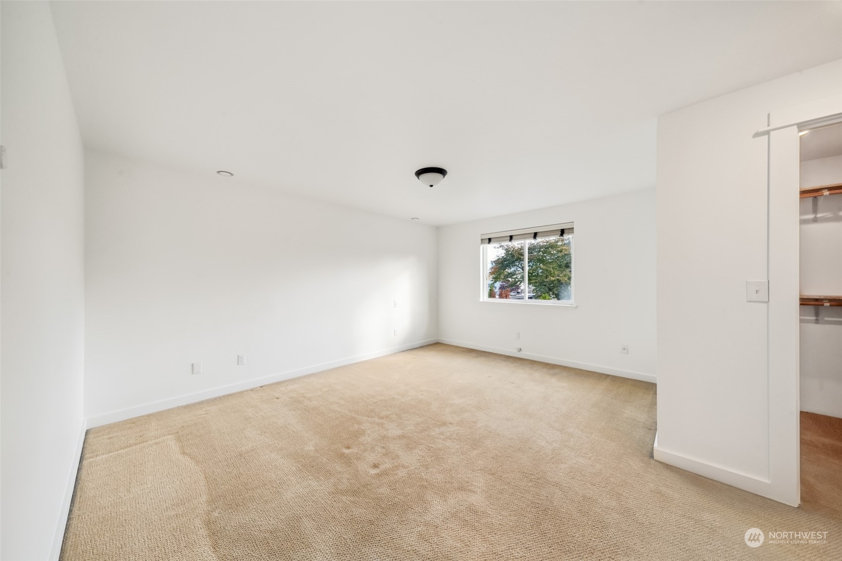 311 Petschauer Place