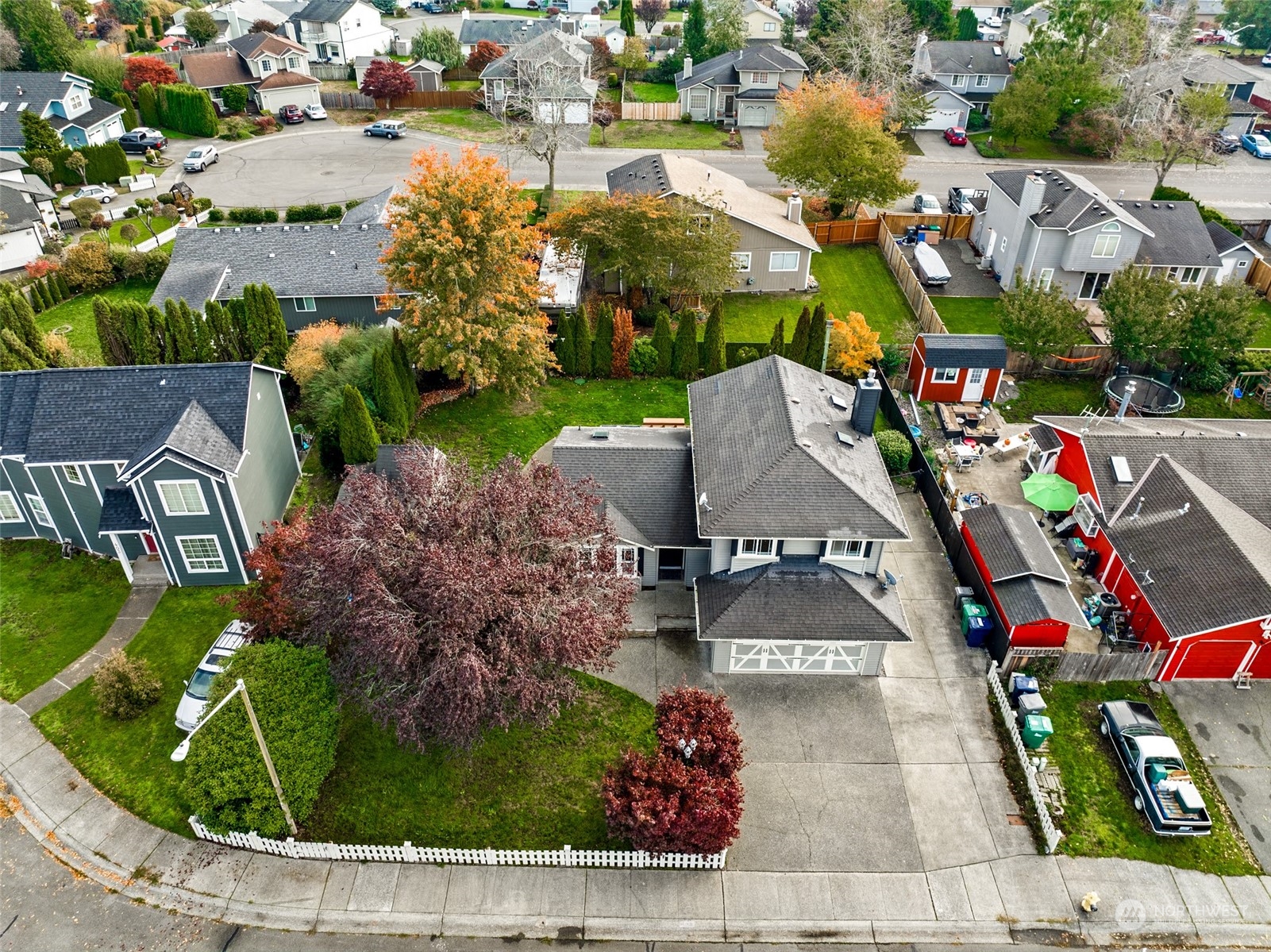 311 Petschauer Place