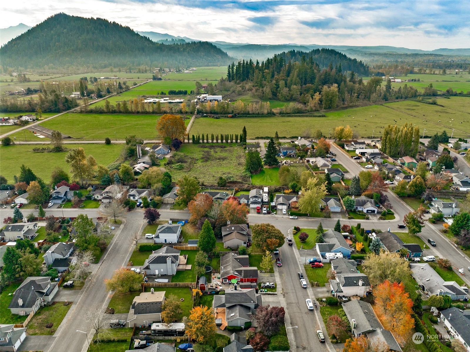 311 Petschauer Place