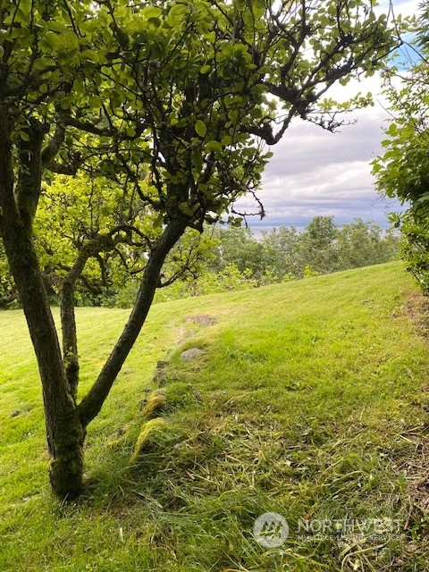 1932 NW Blue Ridge Drive