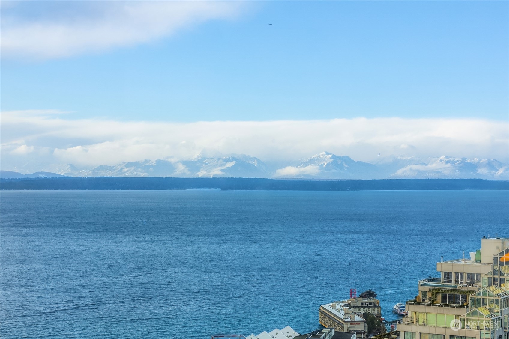 121 Stewart St Unit: 3108