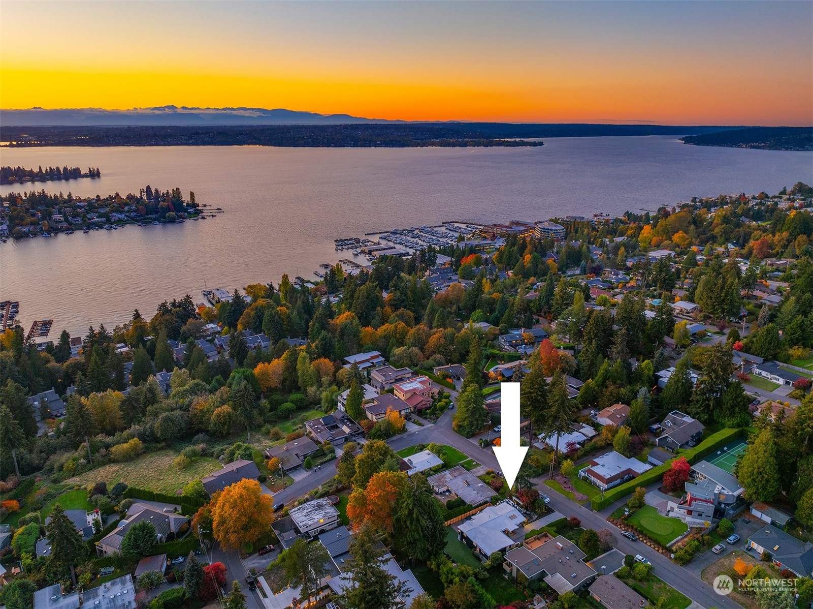 10517 NE 46th Street