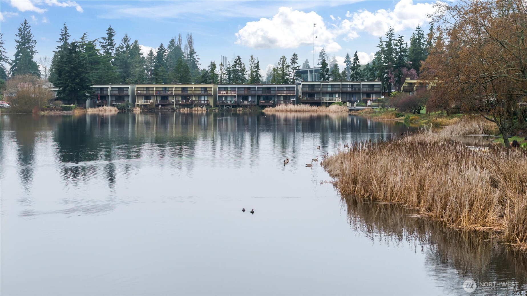 31003 14th Avenue S Unit: B5