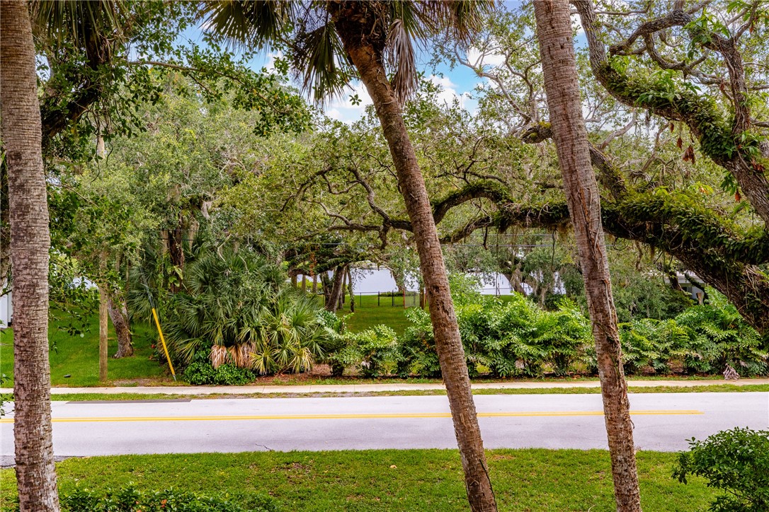 240 Live Oak Road