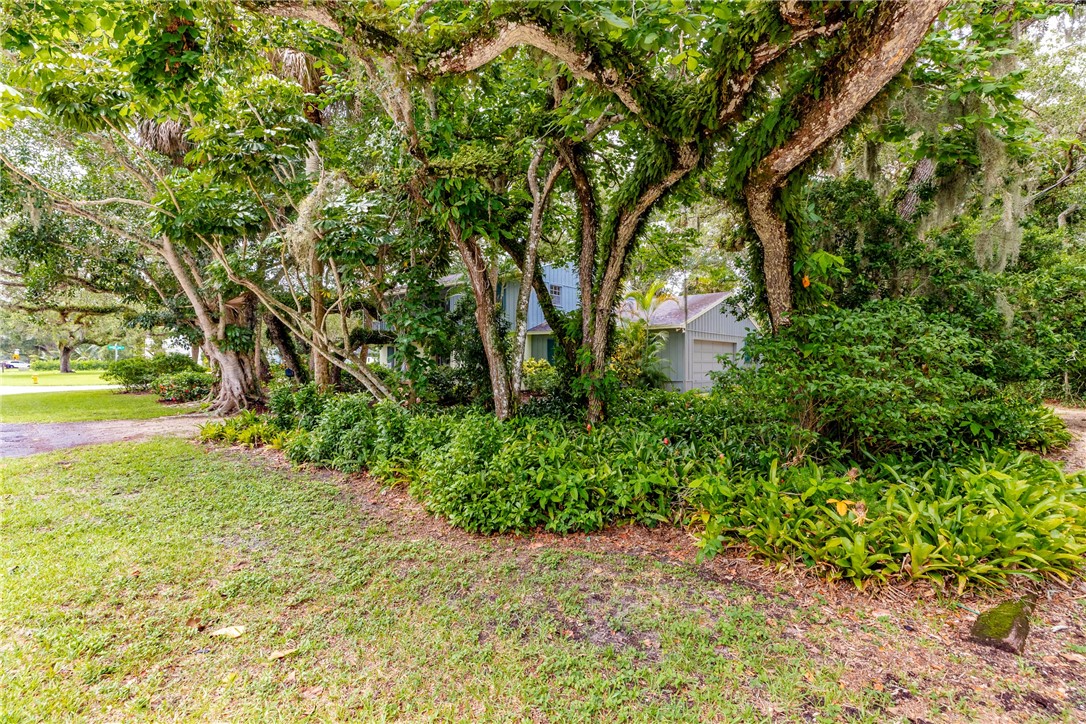240 Live Oak Road
