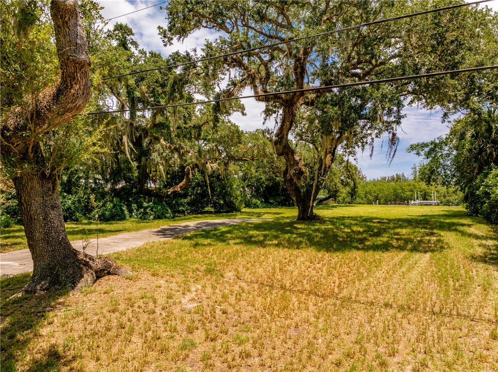 386 Live Oak Drive