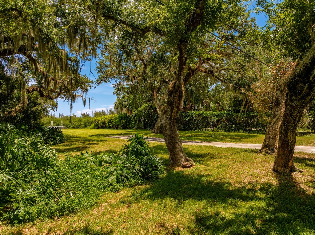 386 Live Oak Drive