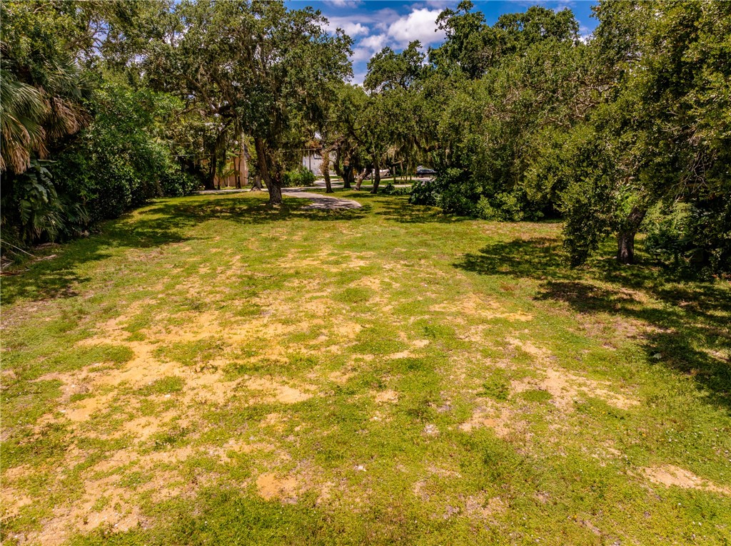 386 Live Oak Drive