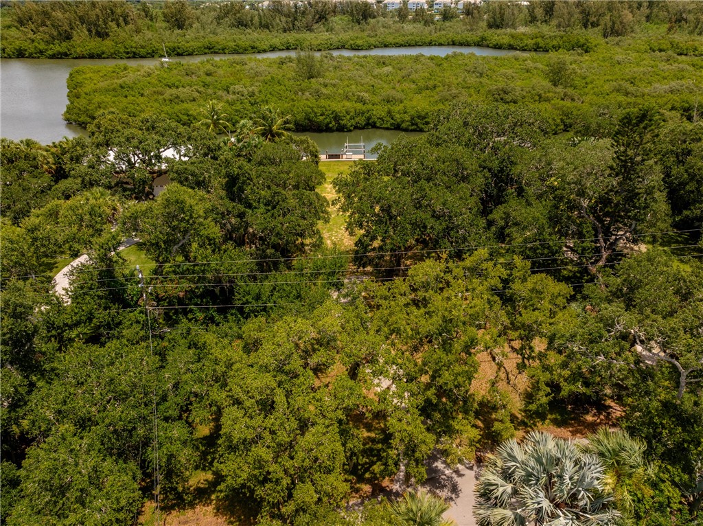 386 Live Oak Drive