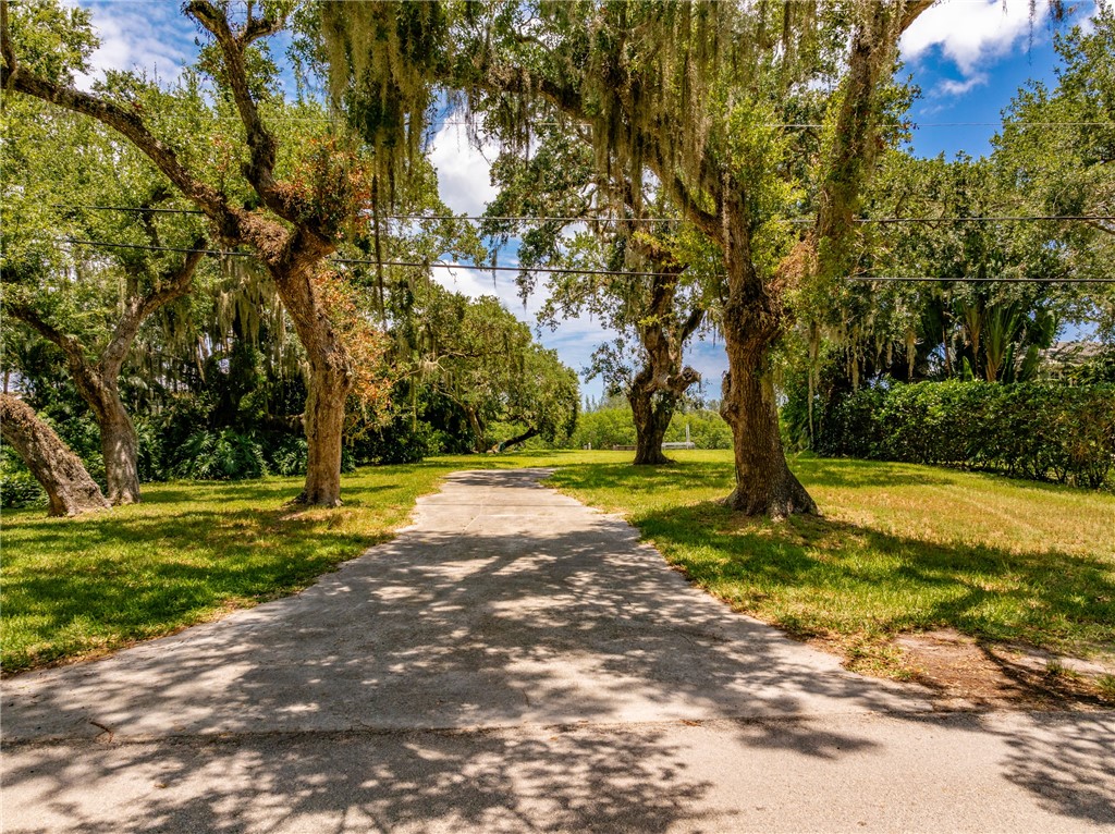 386 Live Oak Drive