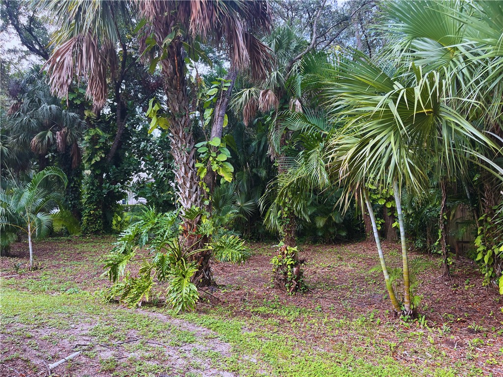 1946 Hedden Place