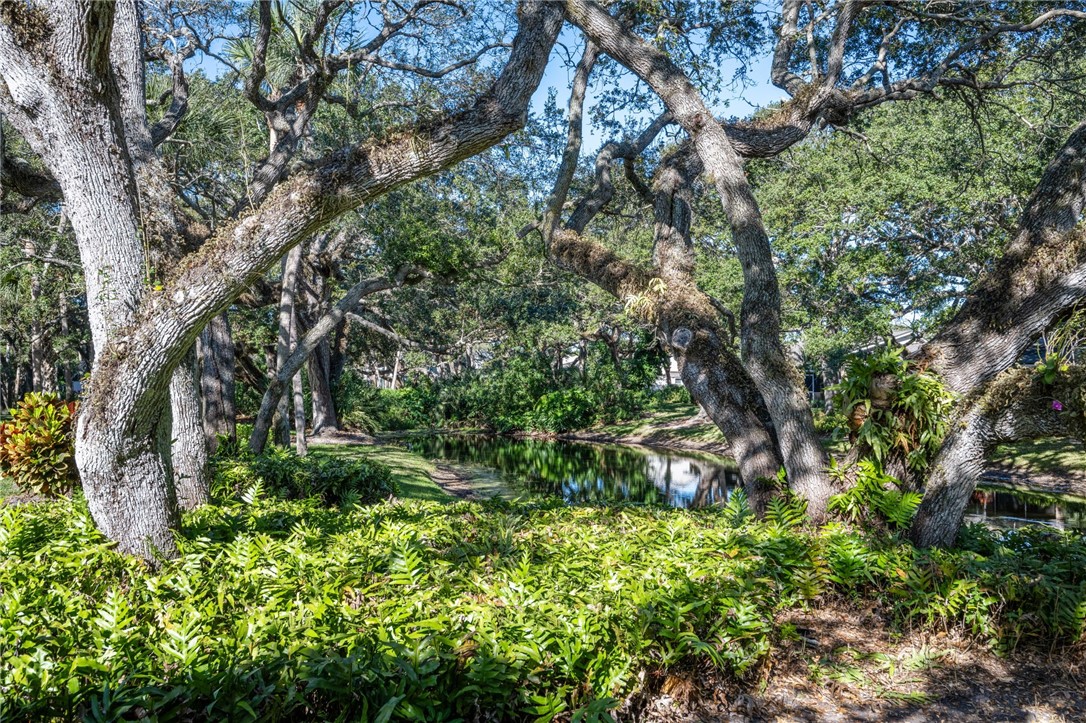 109 W Park Shores Circle 36