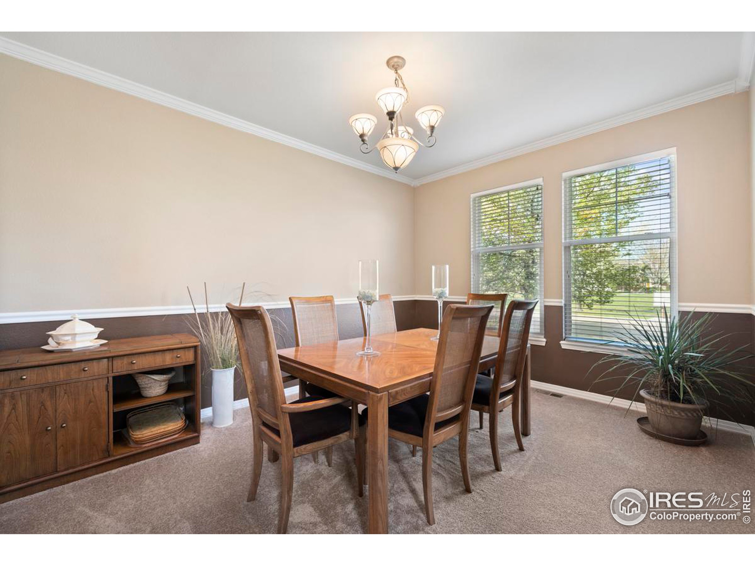 2981 Spring Harvest Ln