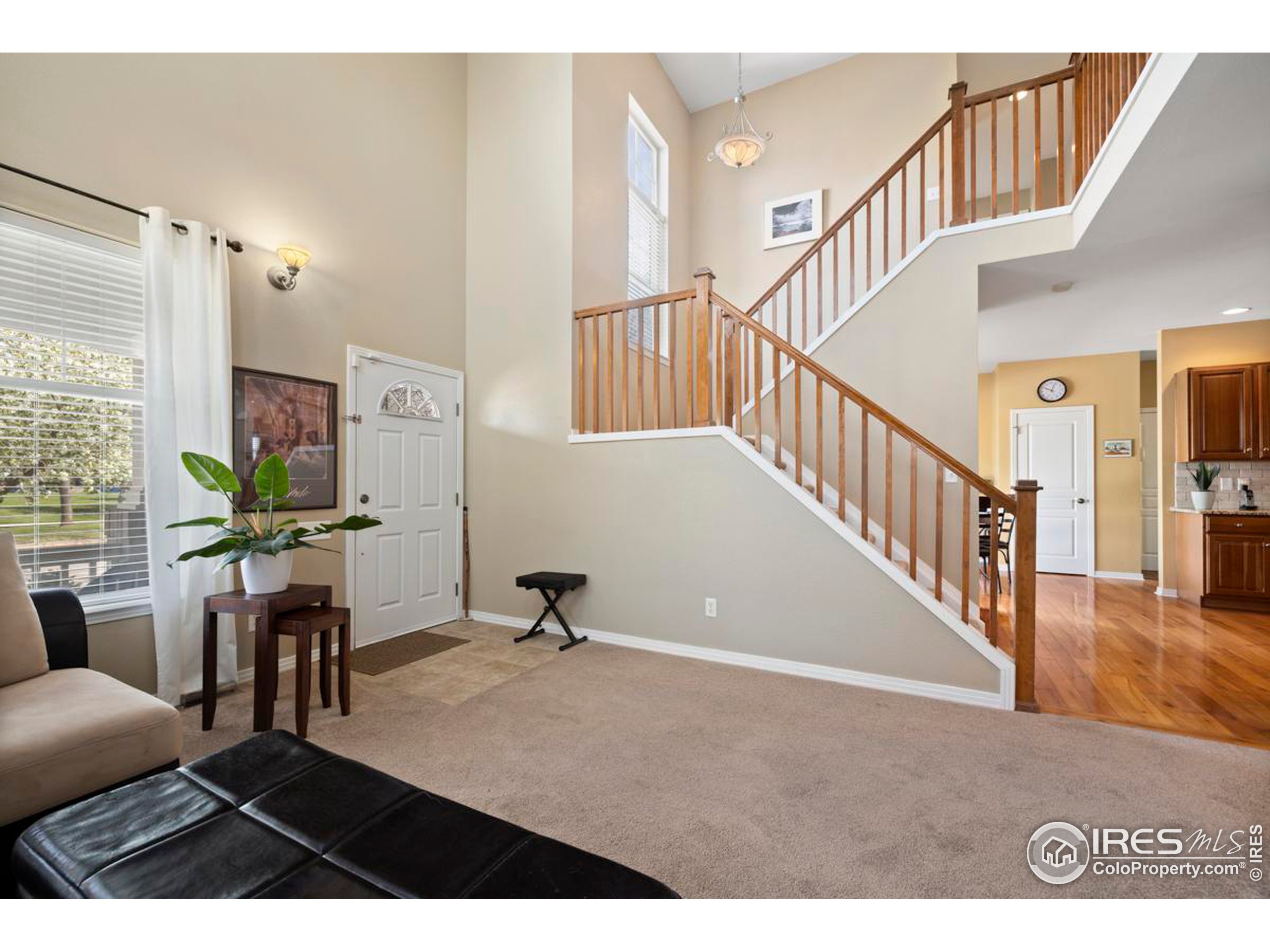 2981 Spring Harvest Ln