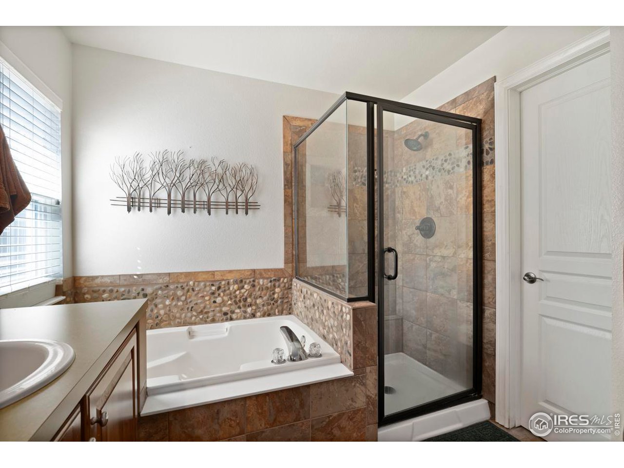 2981 Spring Harvest Ln