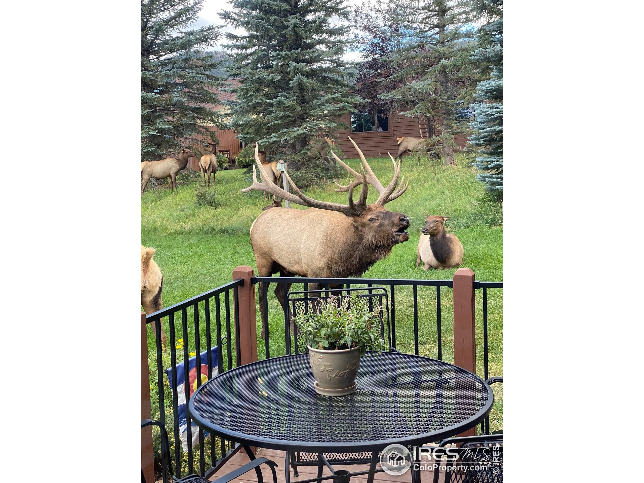 1422 Matthew Cir B-2