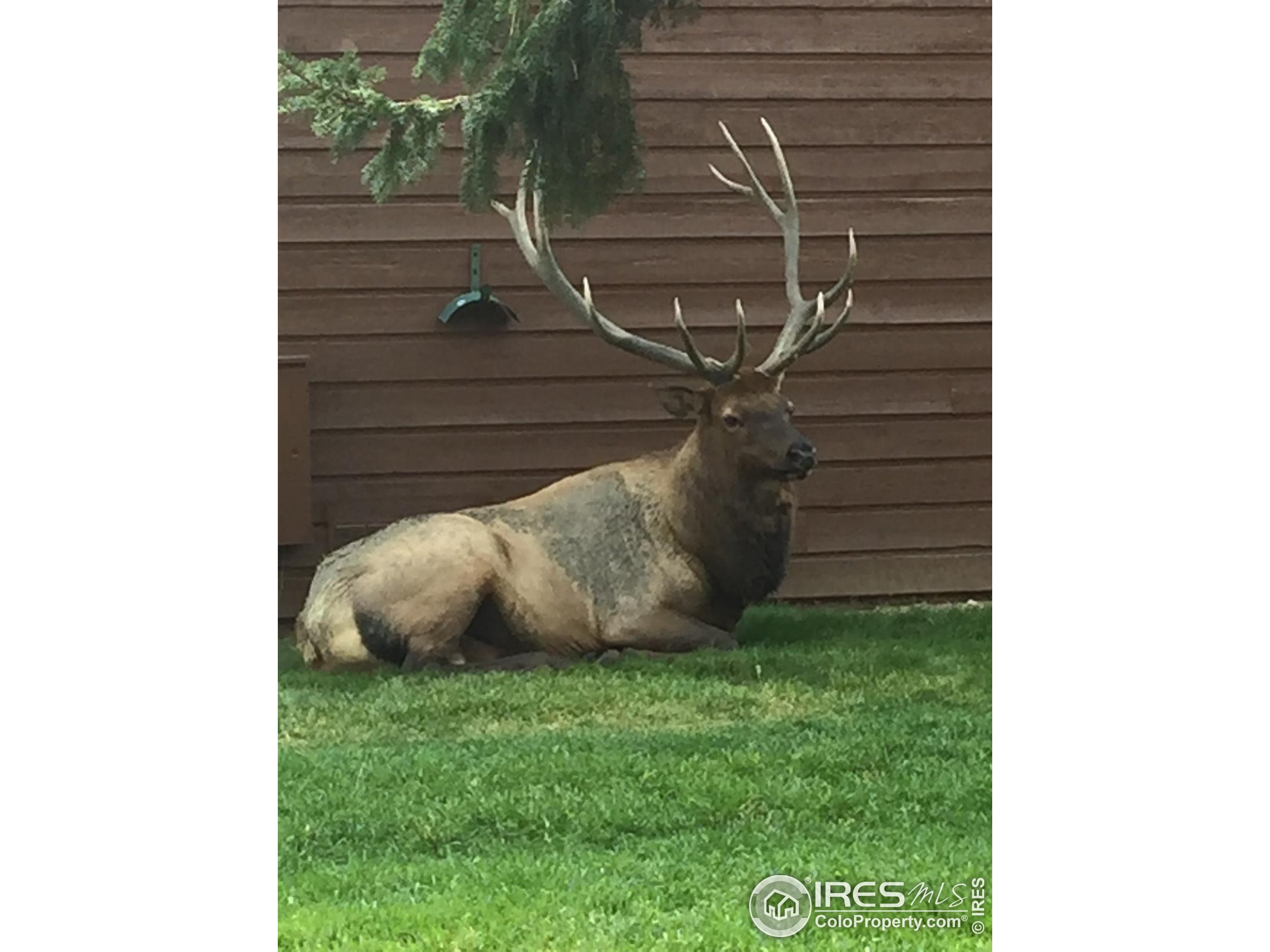 1422 Matthew Cir B-2