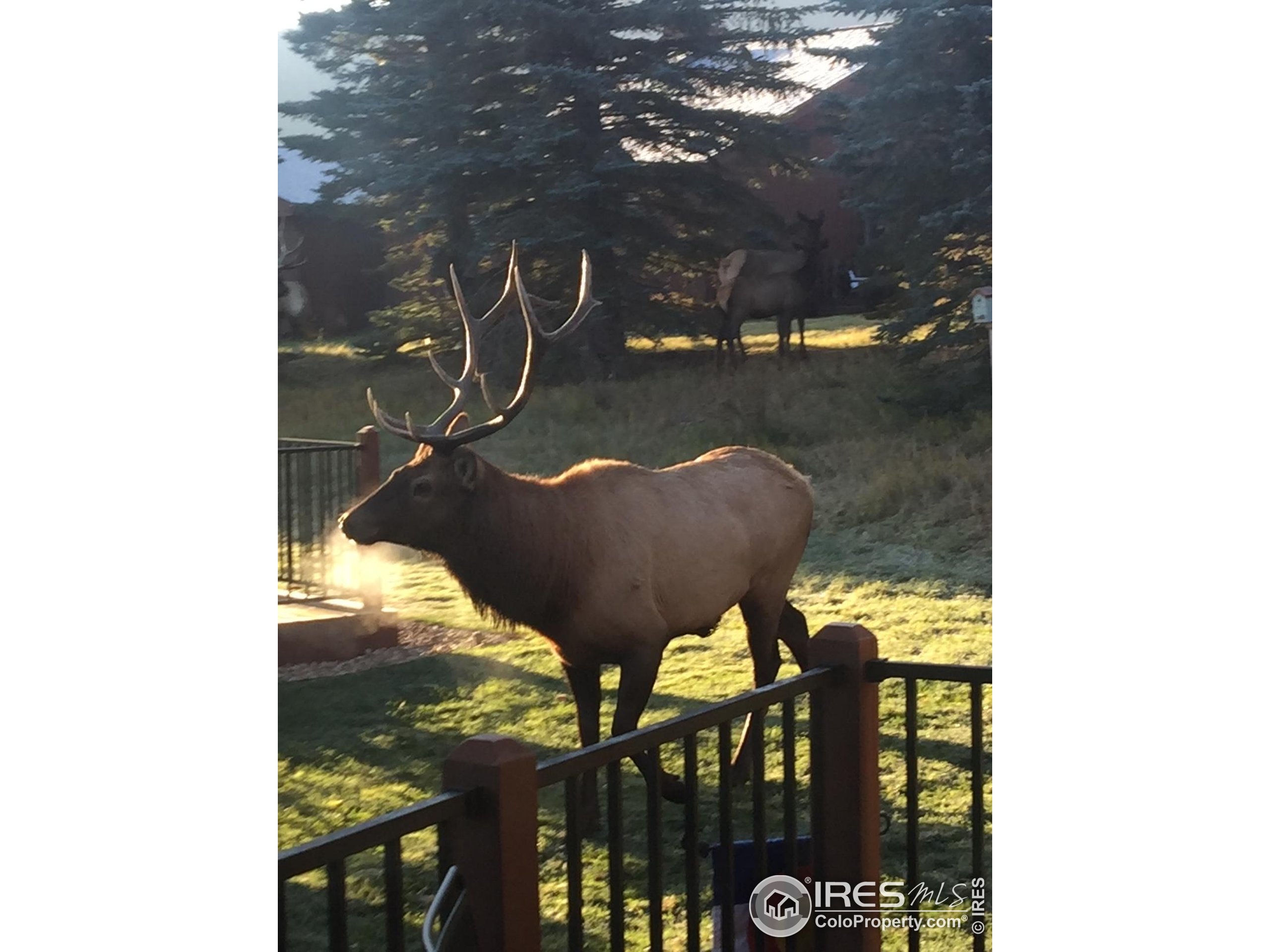 1422 Matthew Cir B-2