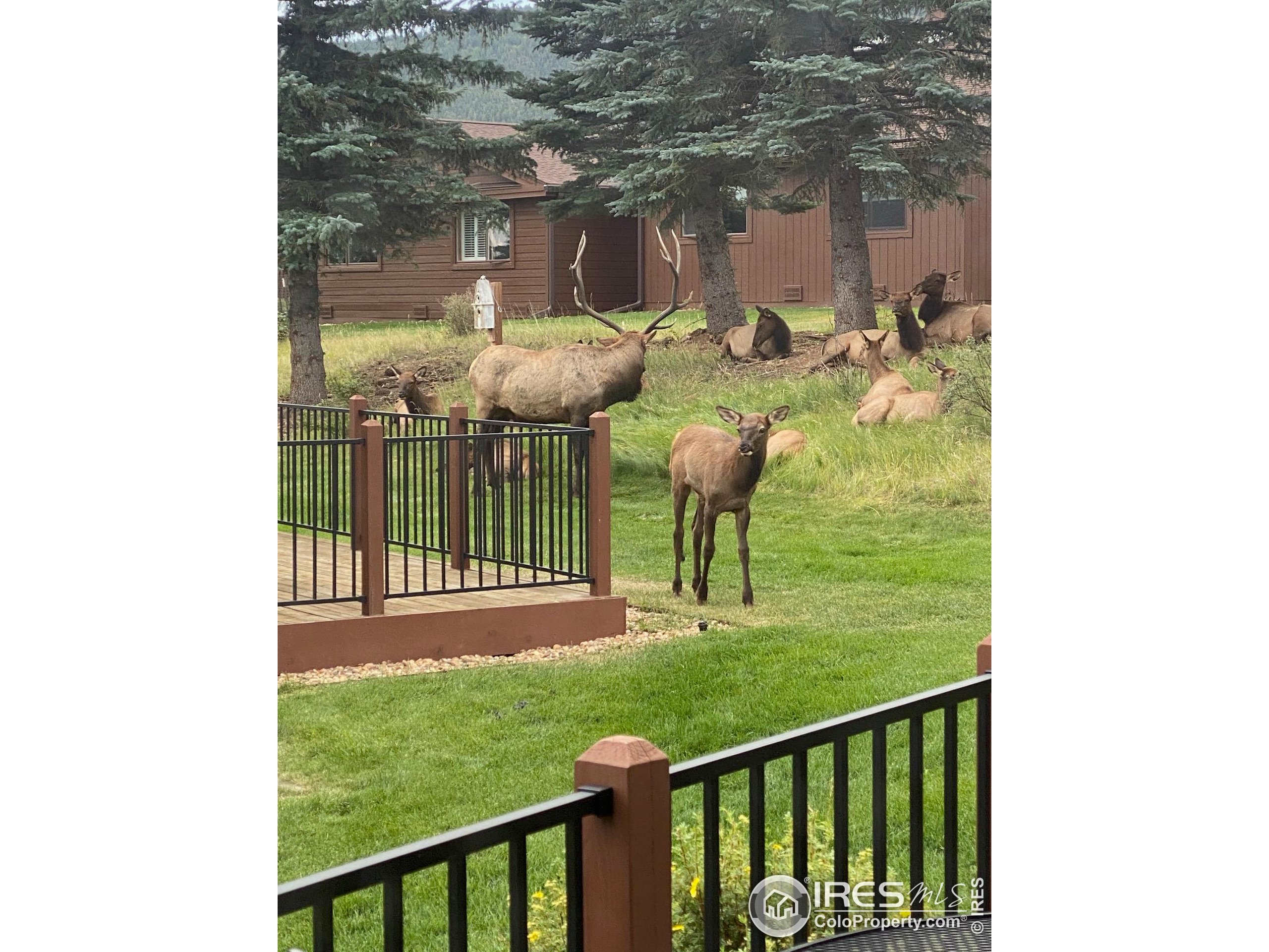 1422 Matthew Cir B-2