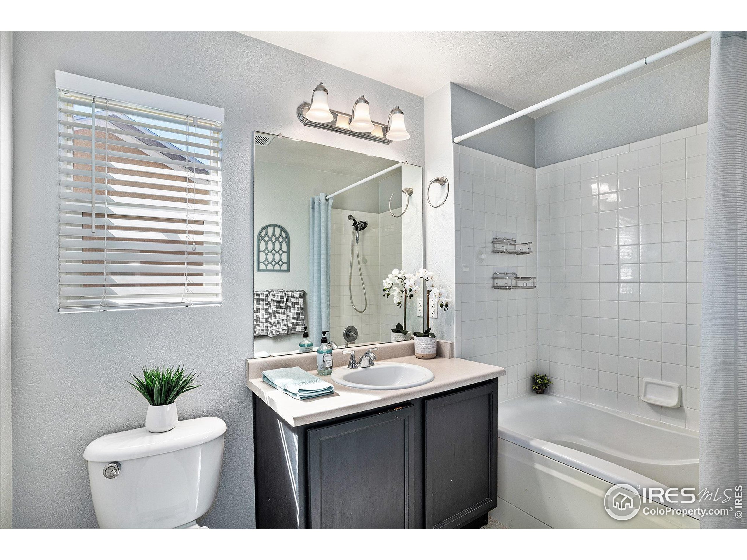 709 Crown Ridge Ln 1