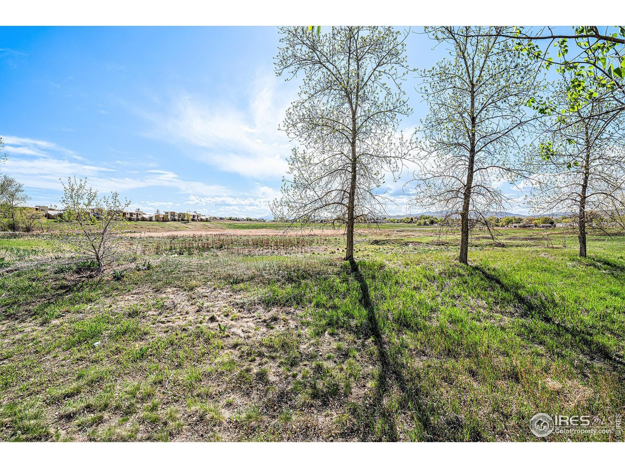 709 Crown Ridge Ln 1