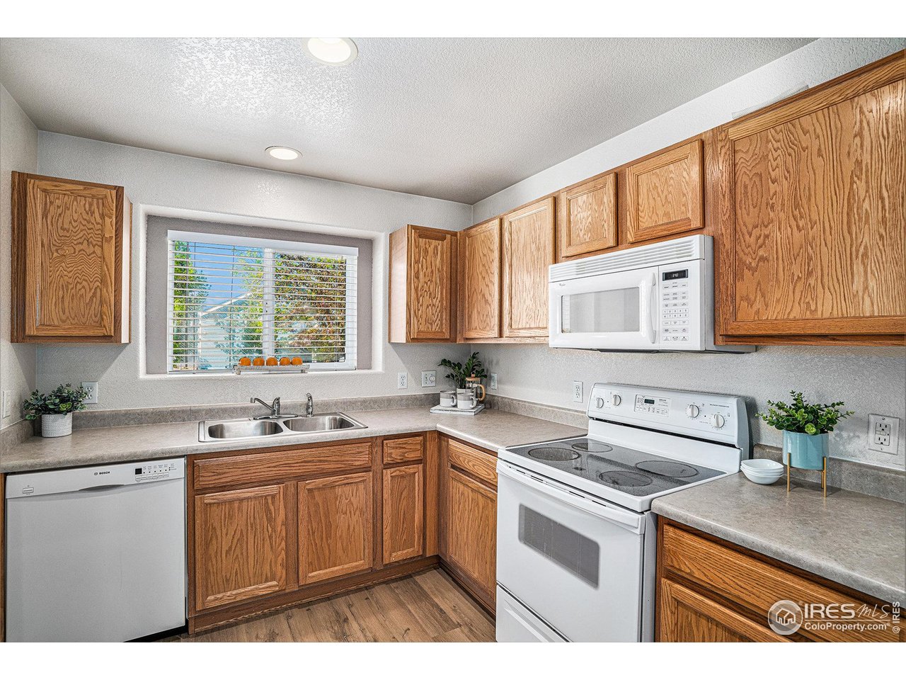 709 Crown Ridge Ln 1