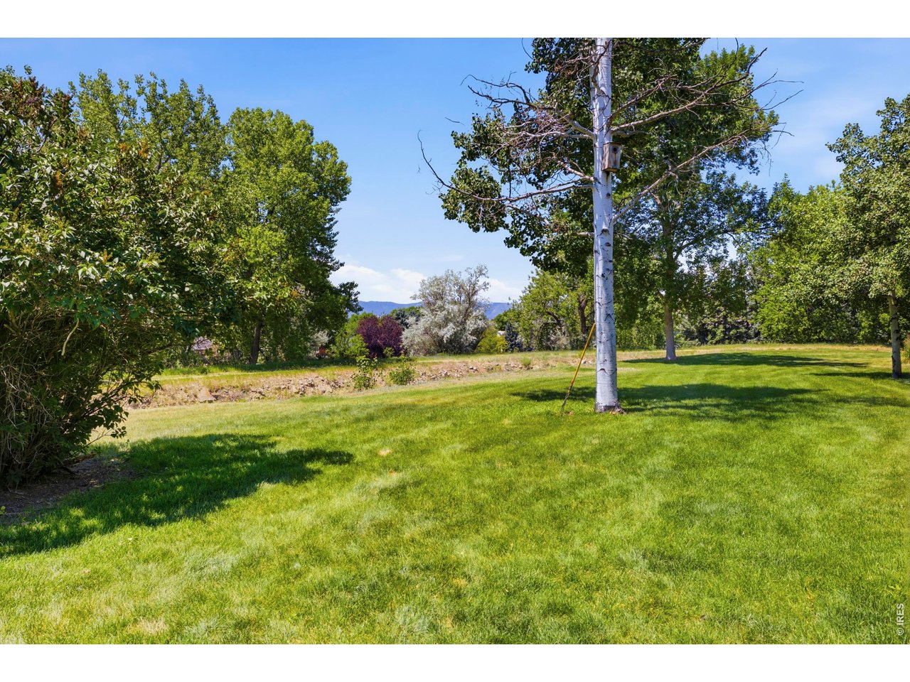 1643 Adriel Dr