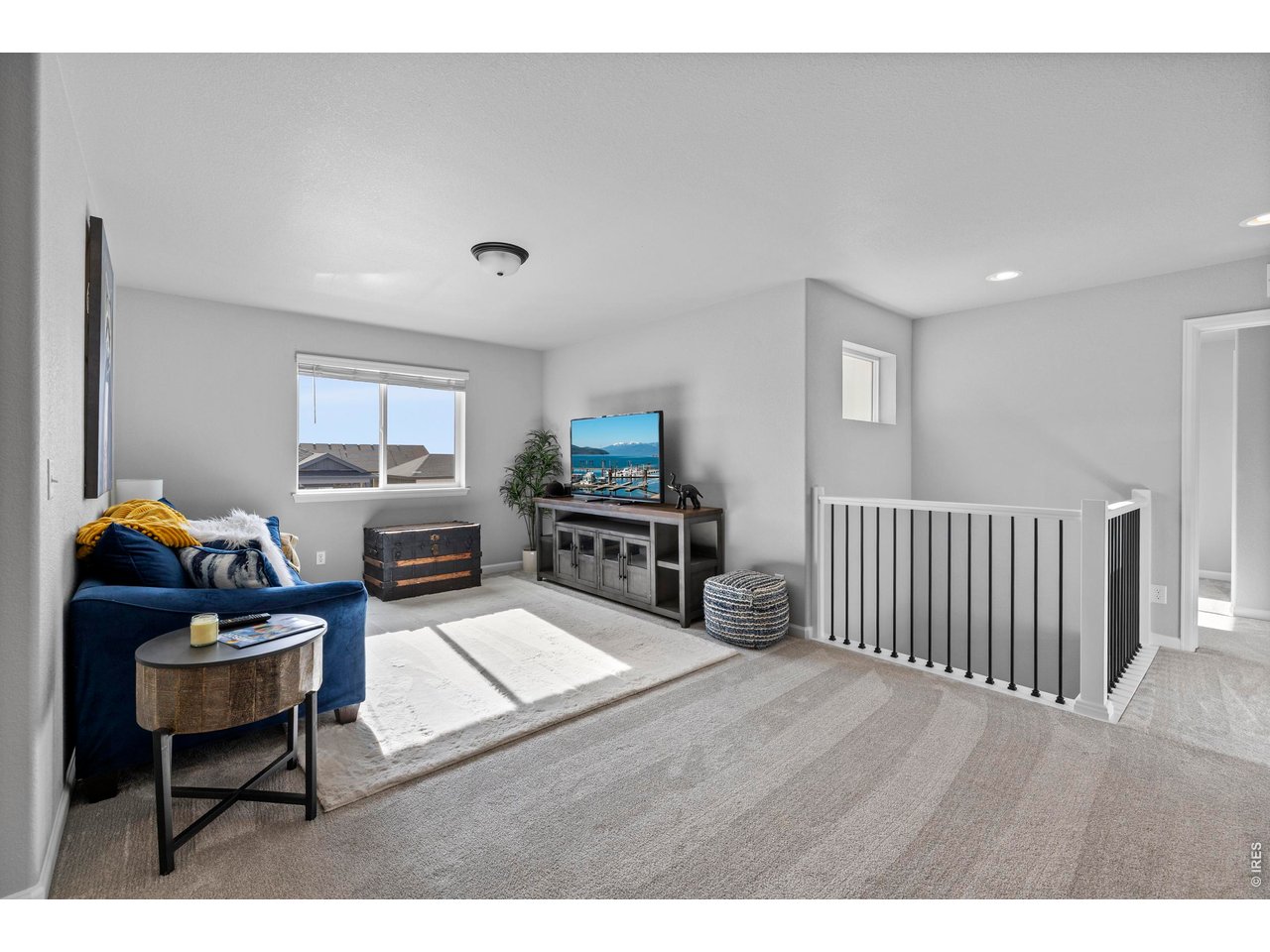 356 Bluestar Dr
