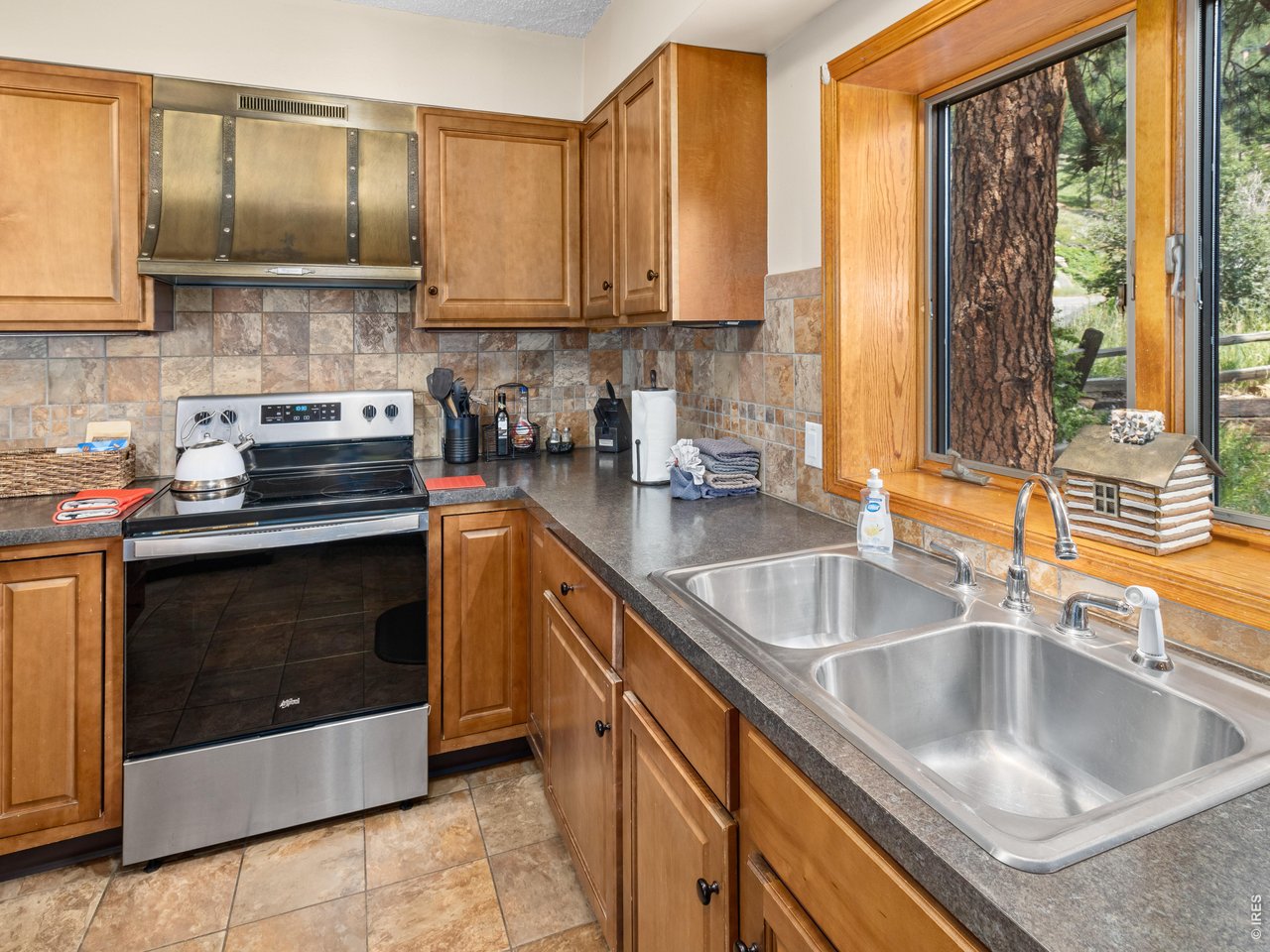 1731 Aspencliff Ct 1