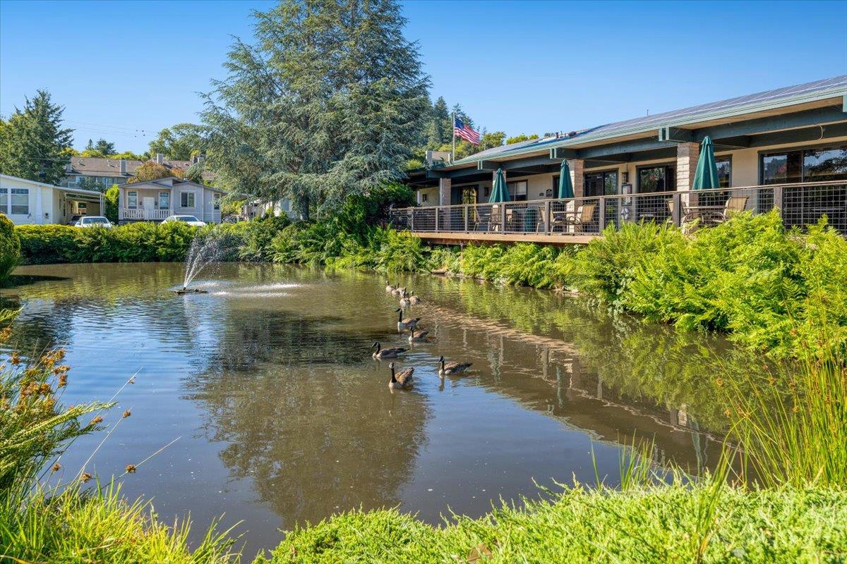 444 Whispering Pines Drive Unit: 18
