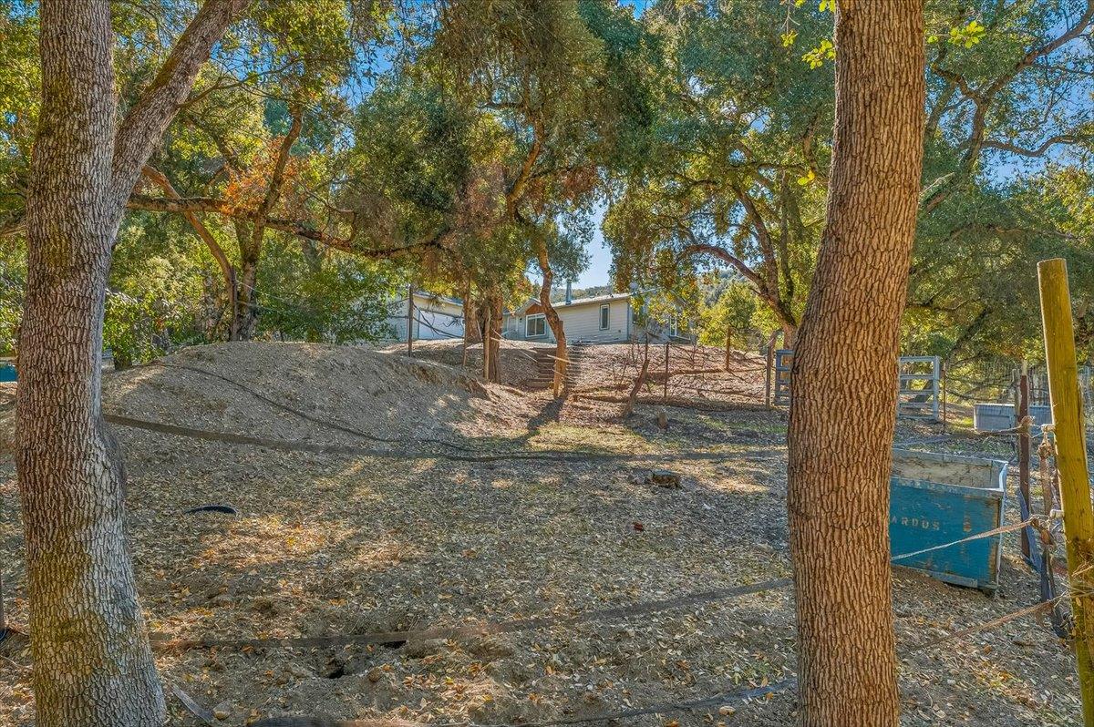 21444 Parrott Ranch Road