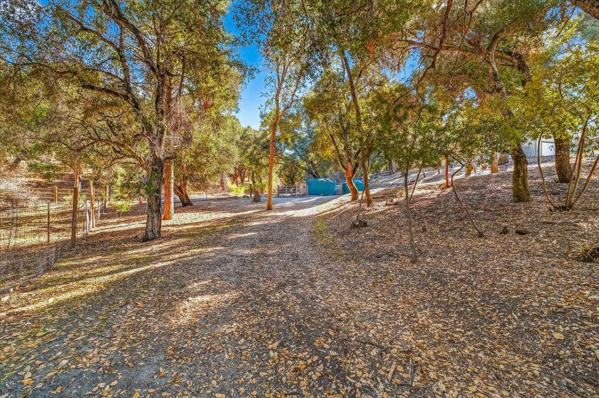 21444 Parrott Ranch Road