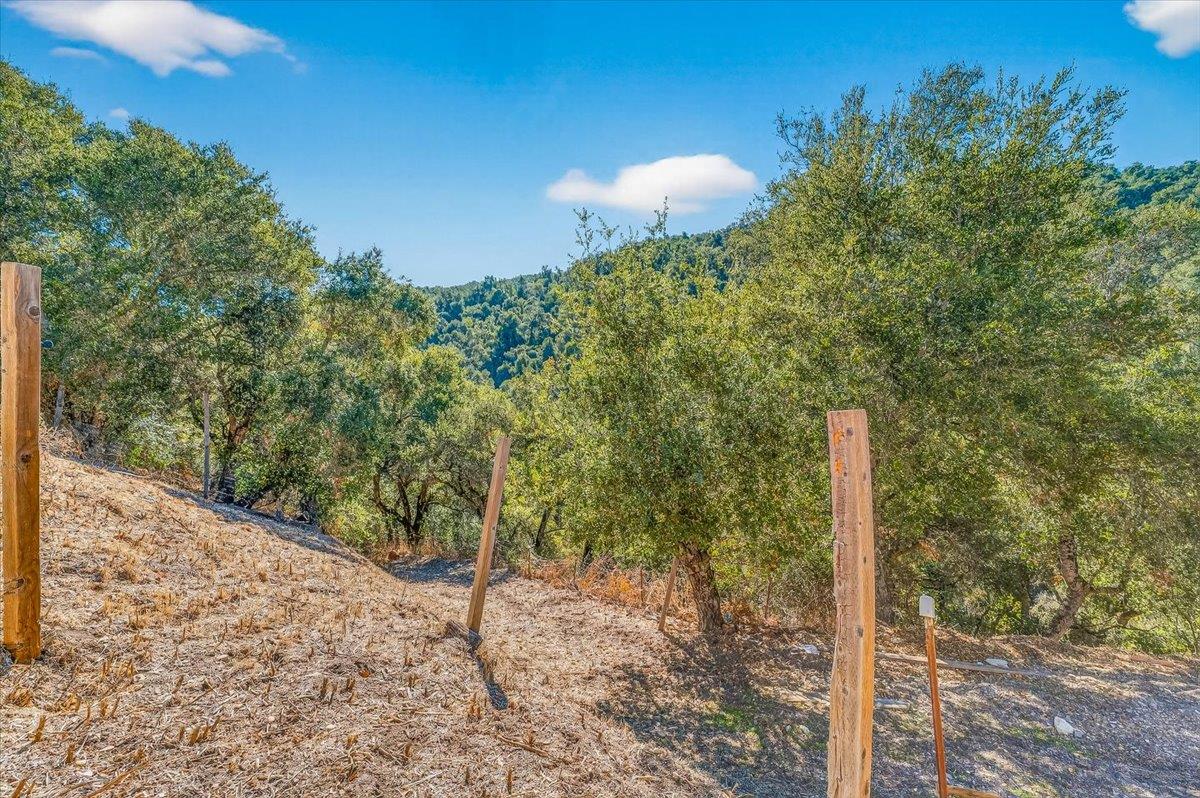 21444 Parrott Ranch Road