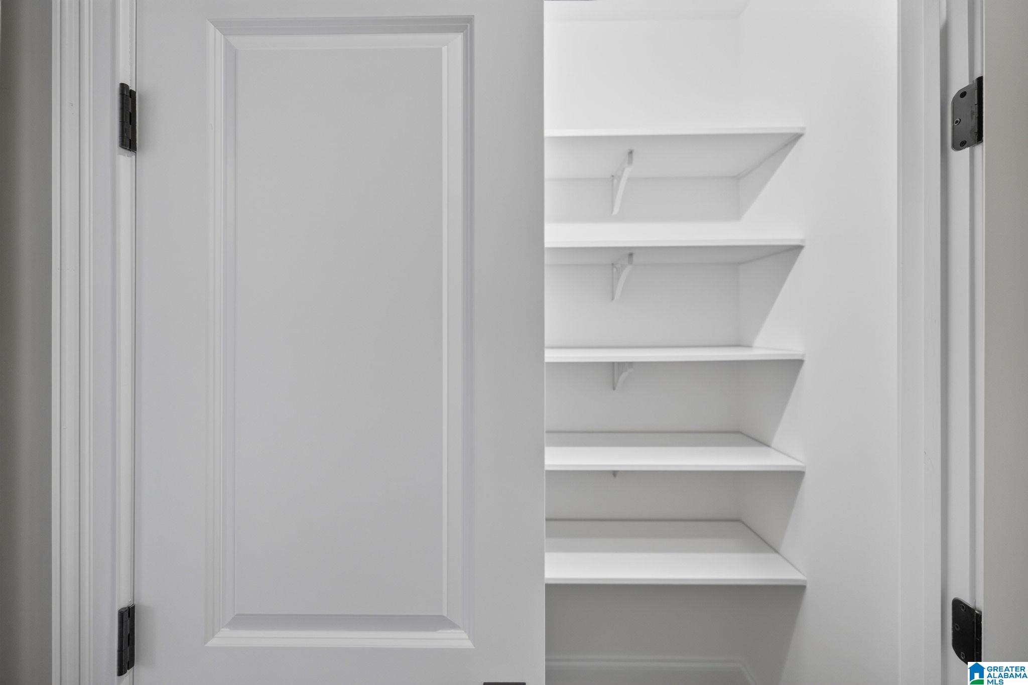 Open white door revealing a small closet with empty built-in shelves.