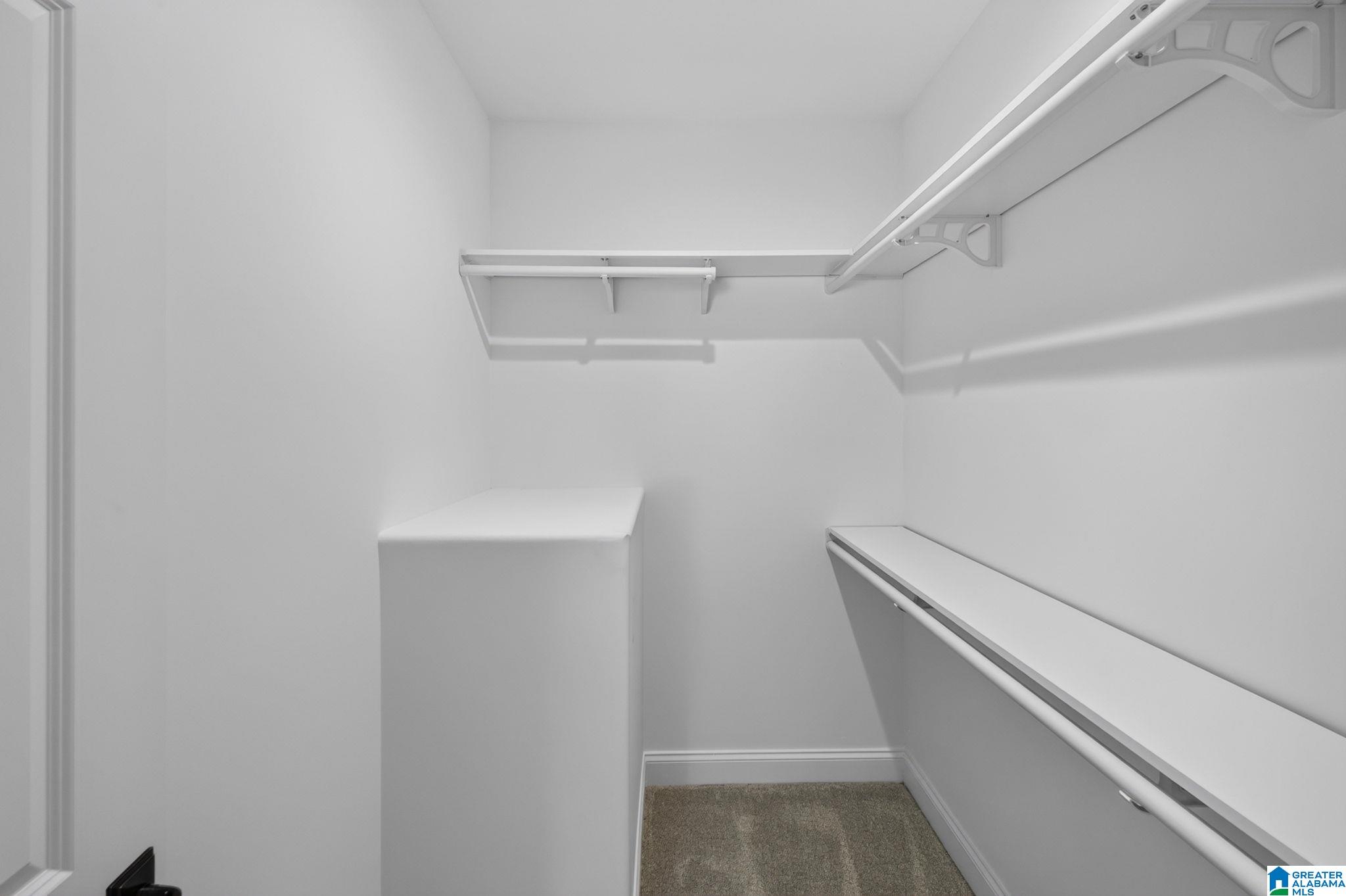 Walk-in closet with built-in white shelving and hanging rails, carpeted floor, and central shelf.