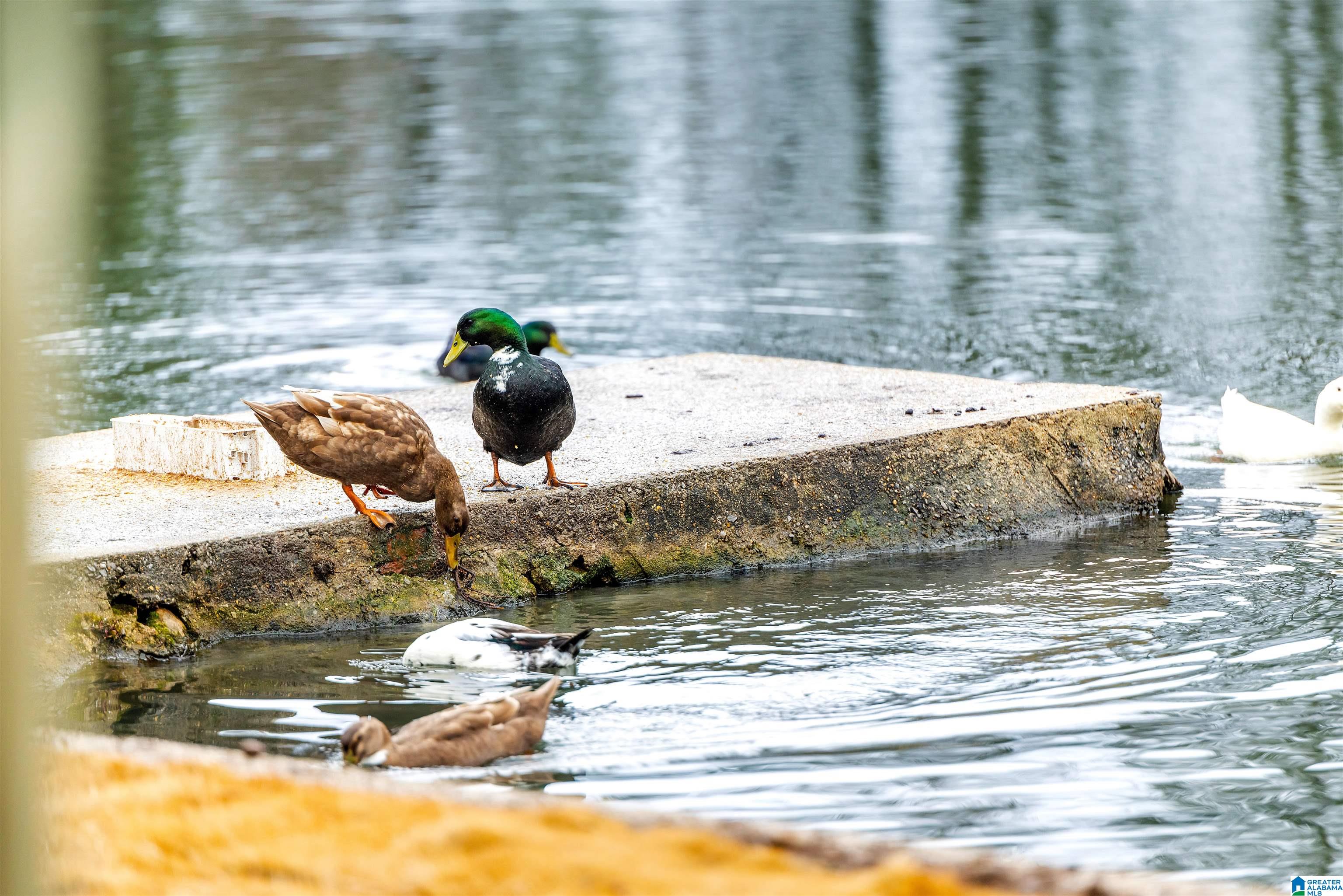 2125 VESTAVIA LAKE DRIVE