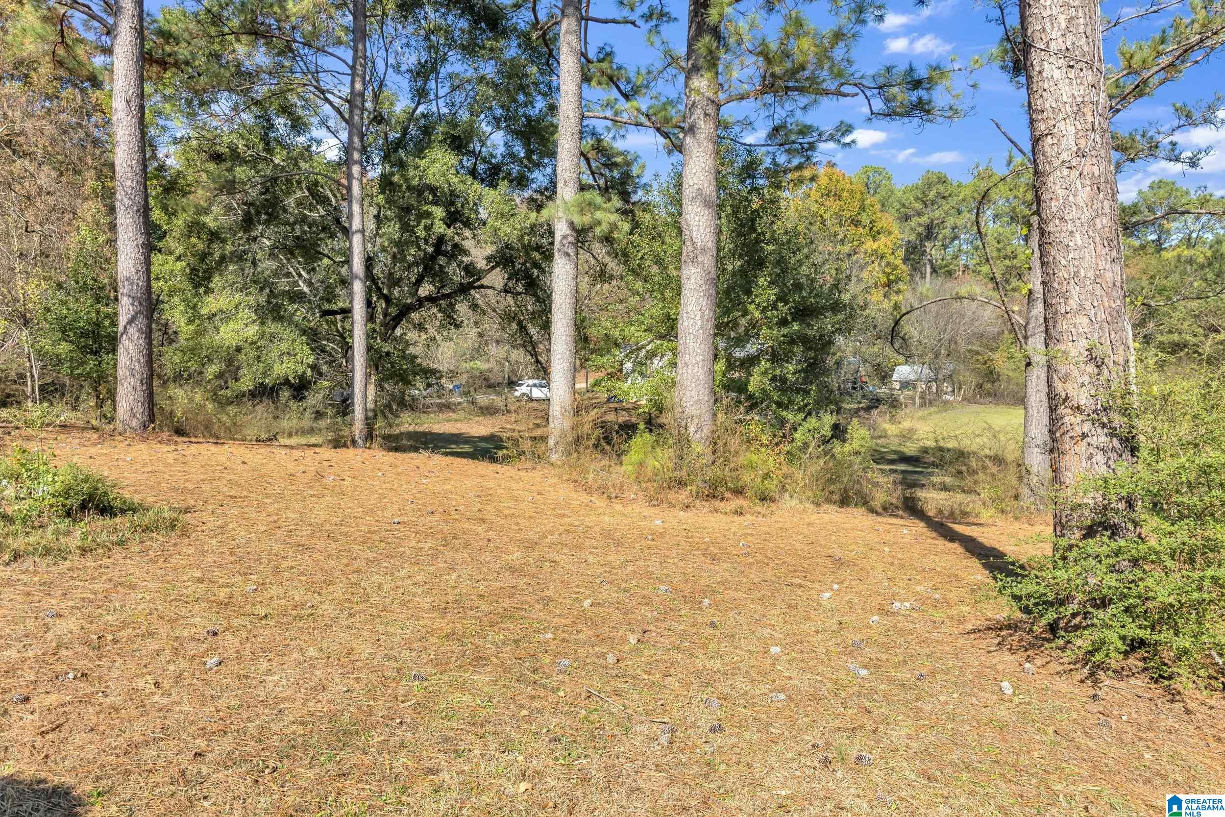 1631 CUNNINGHAM DRIVE 6