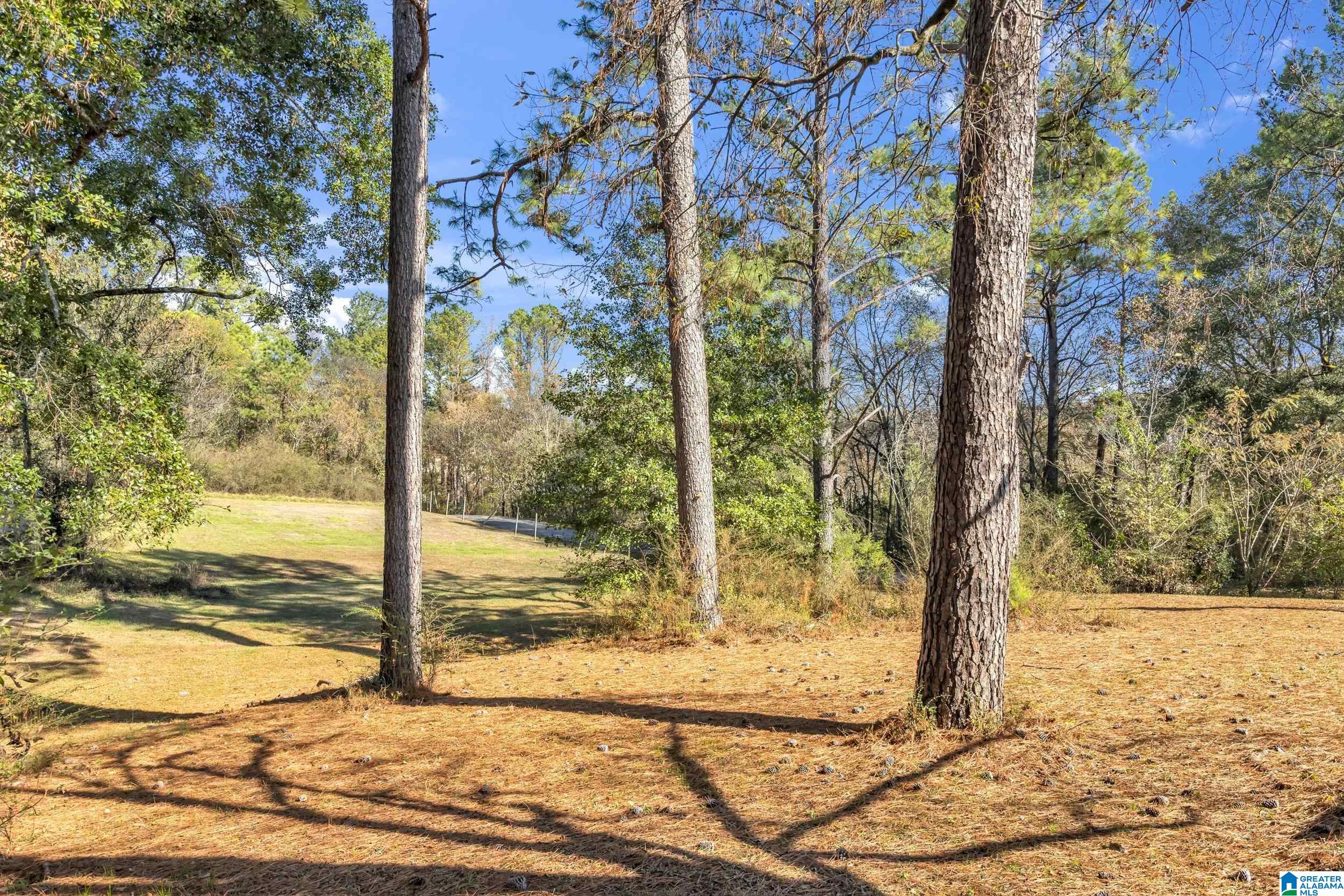 1631 CUNNINGHAM DRIVE 6