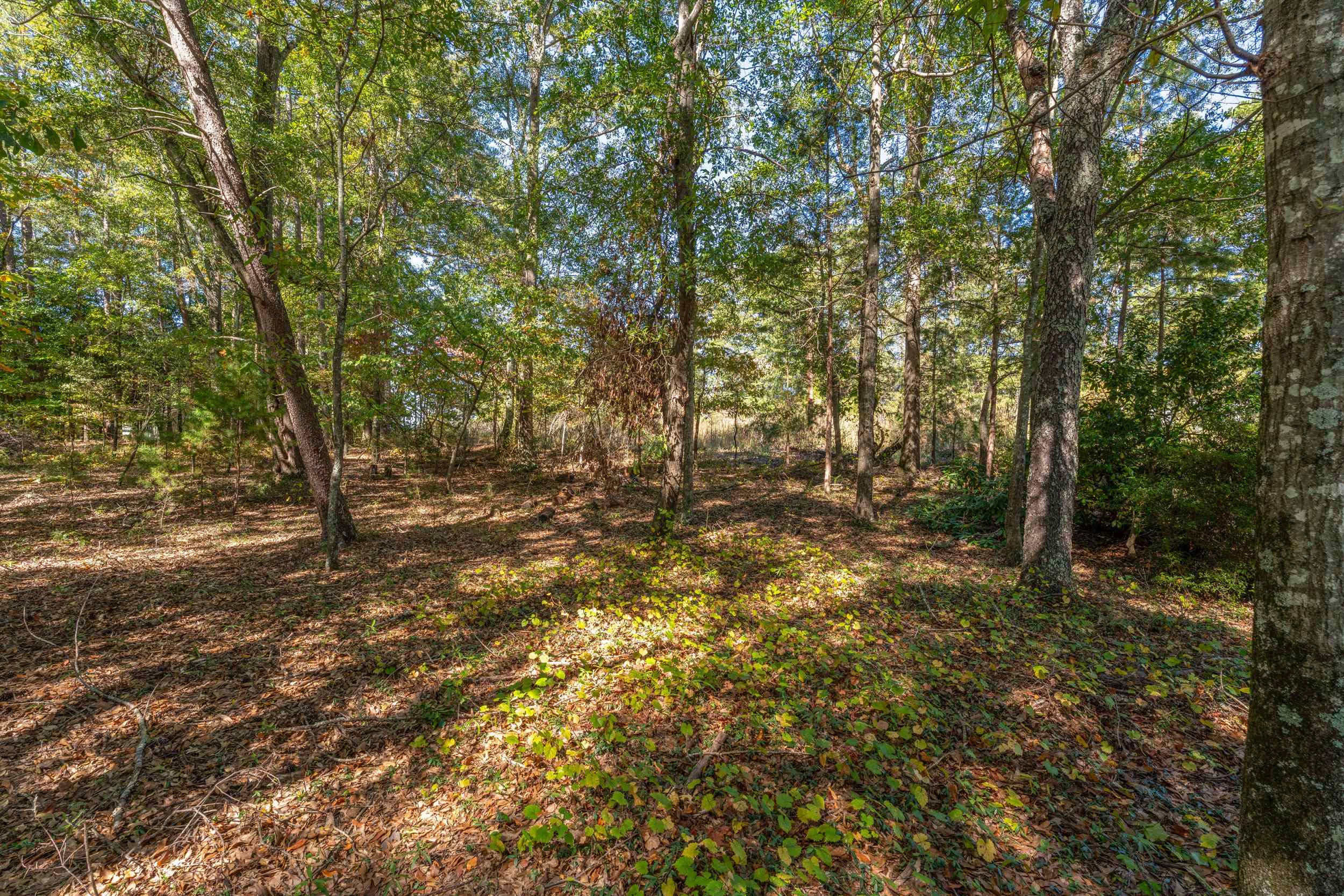 P/O Lot 5 Cardinal Drive