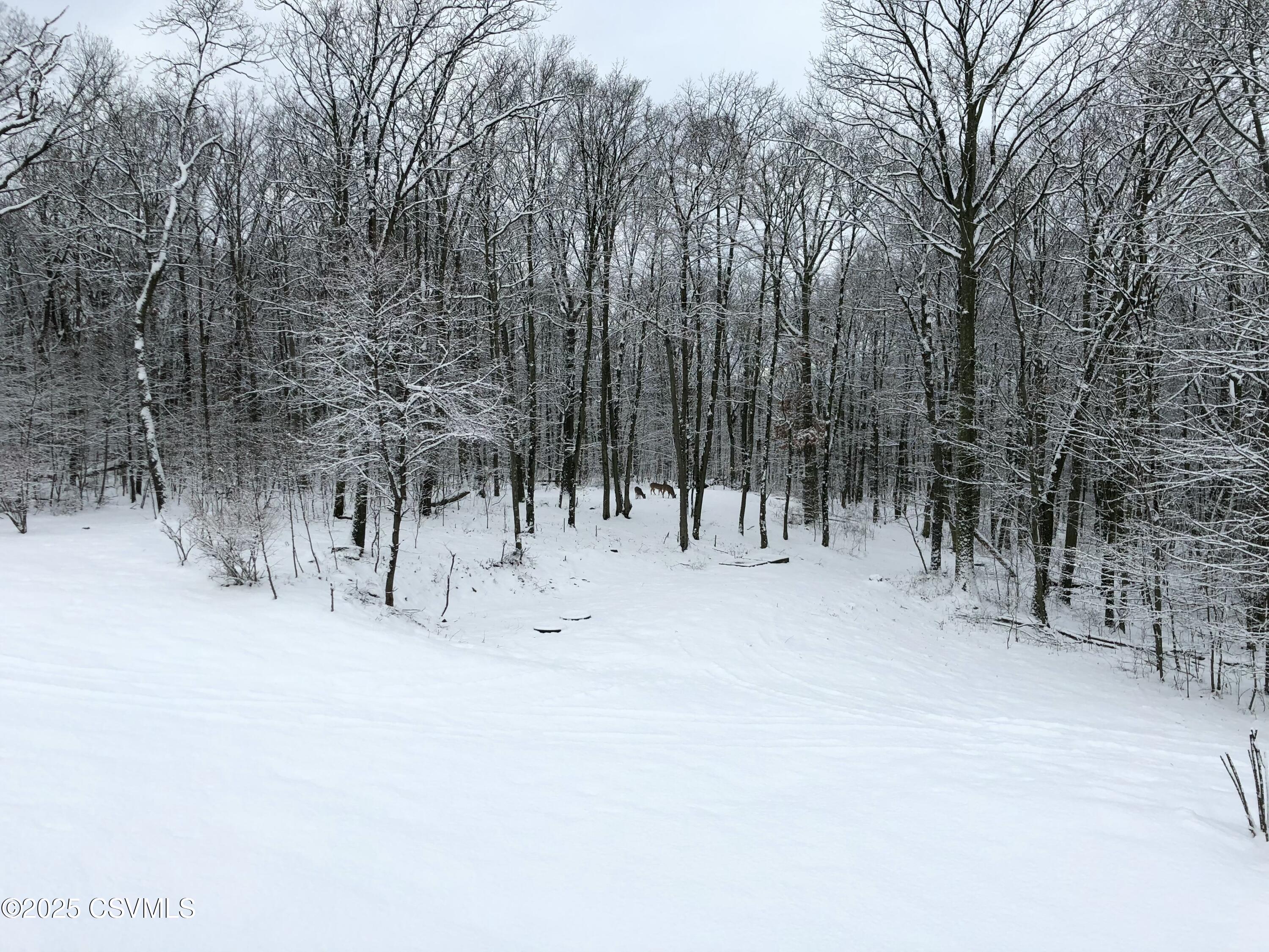 85 DEER RIDGE Lane