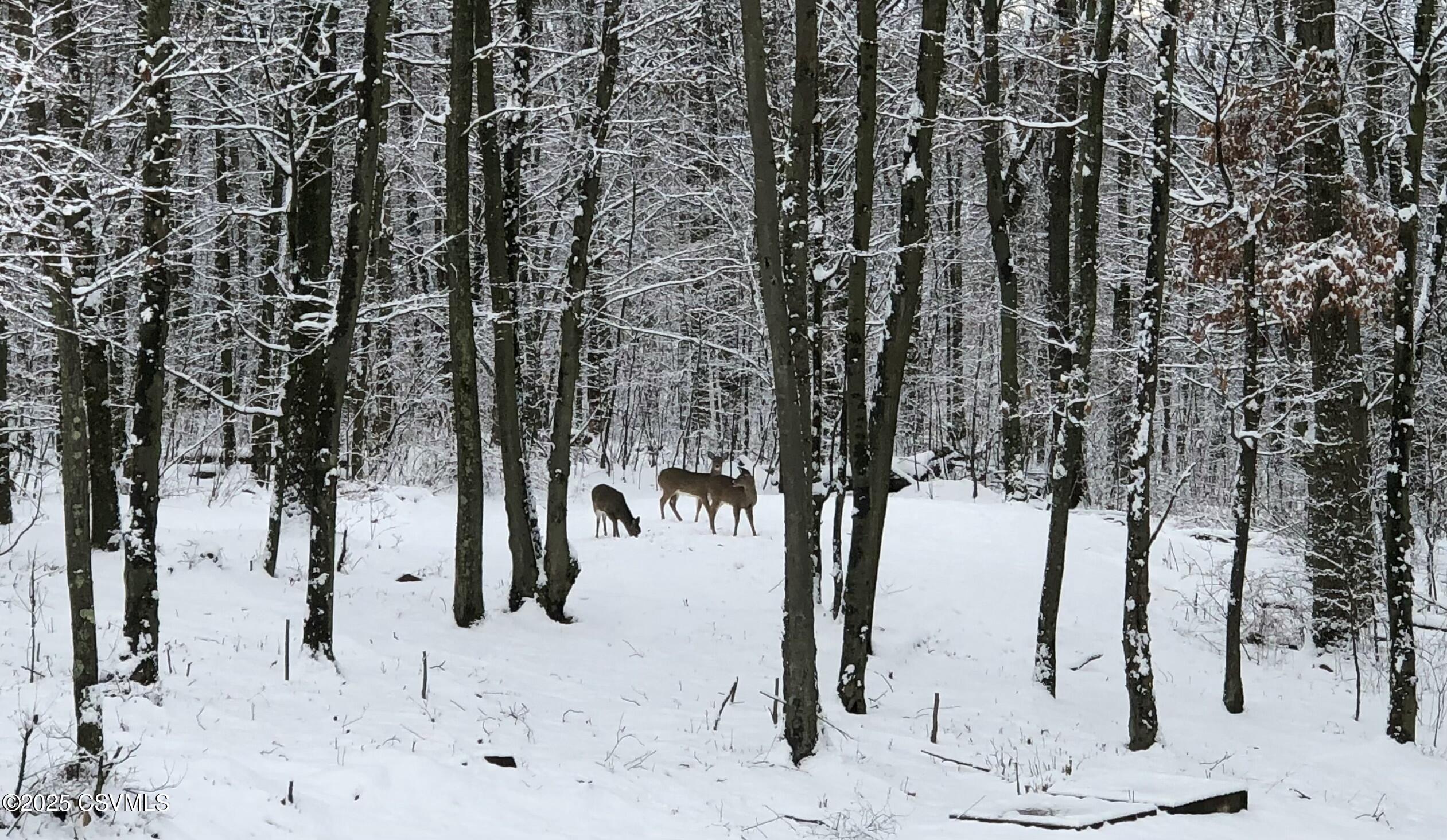 85 DEER RIDGE Lane