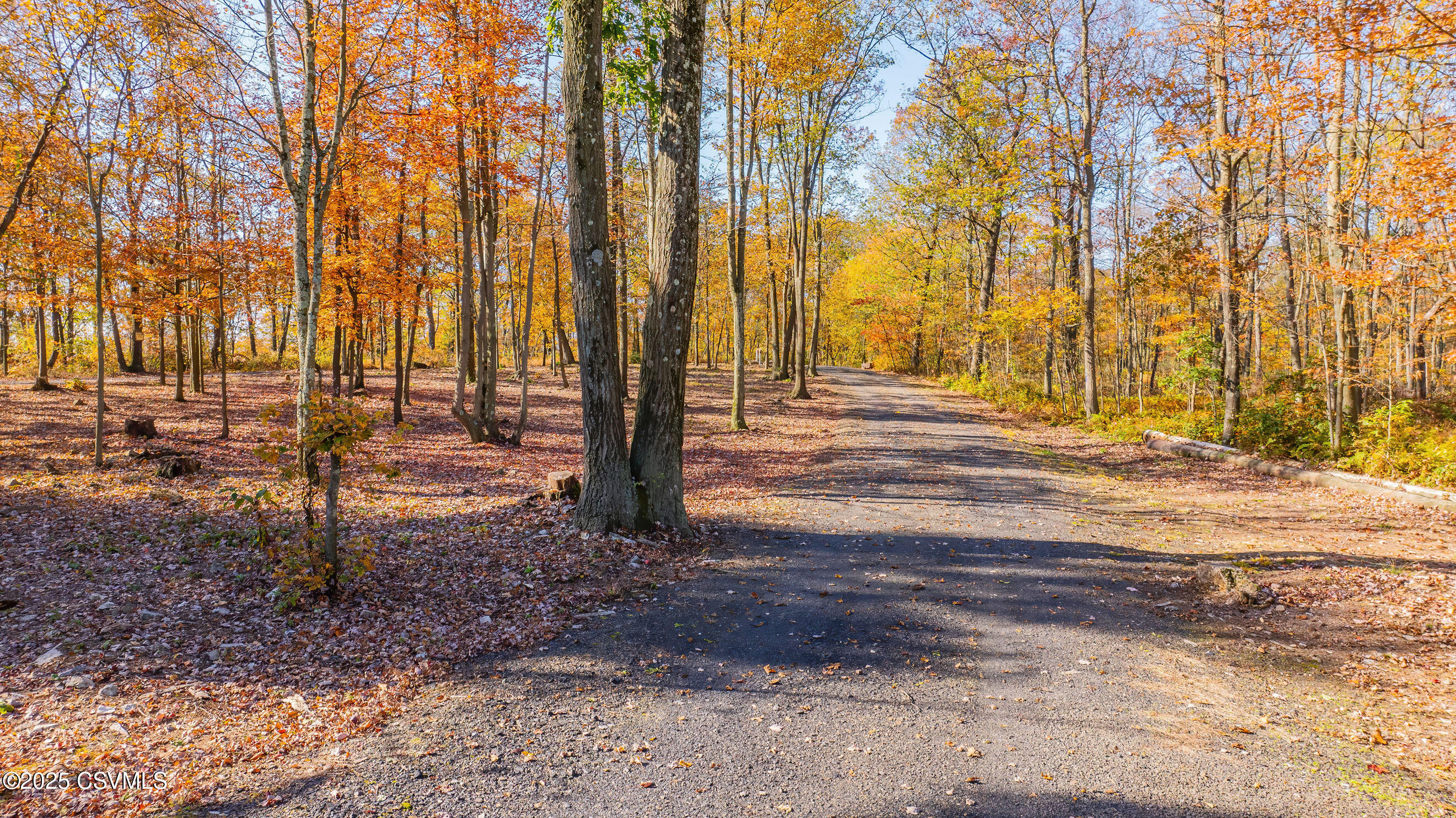 85 DEER RIDGE Lane