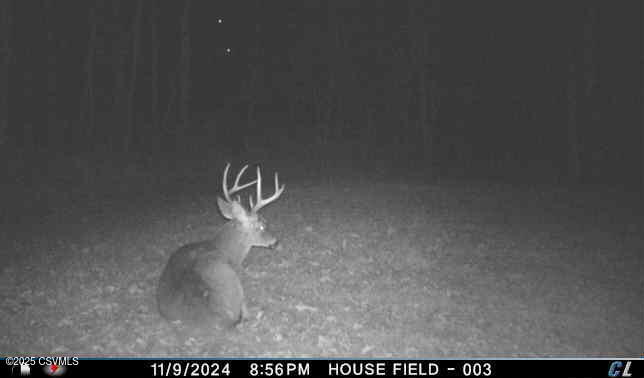 85 DEER RIDGE Lane